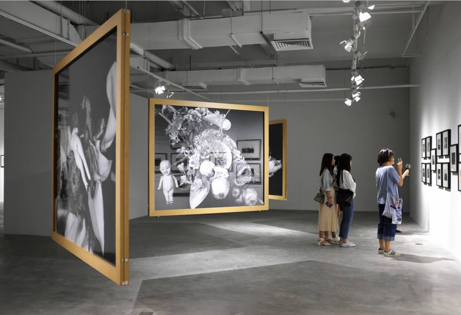 功夫机器侠之北腿