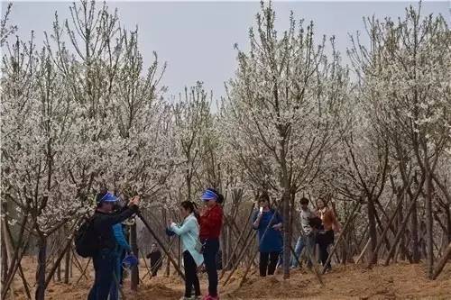 千与千寻普通话版