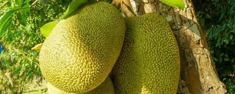 分手信(粤语版)