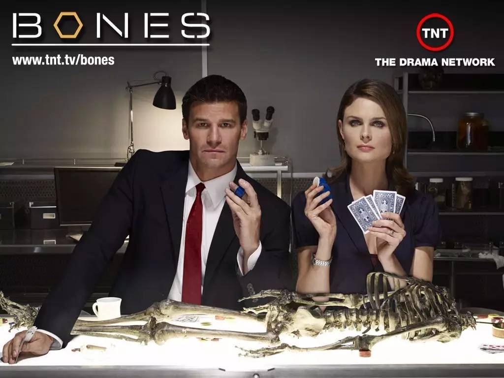 勇敢的马队：伊沃克人历险记