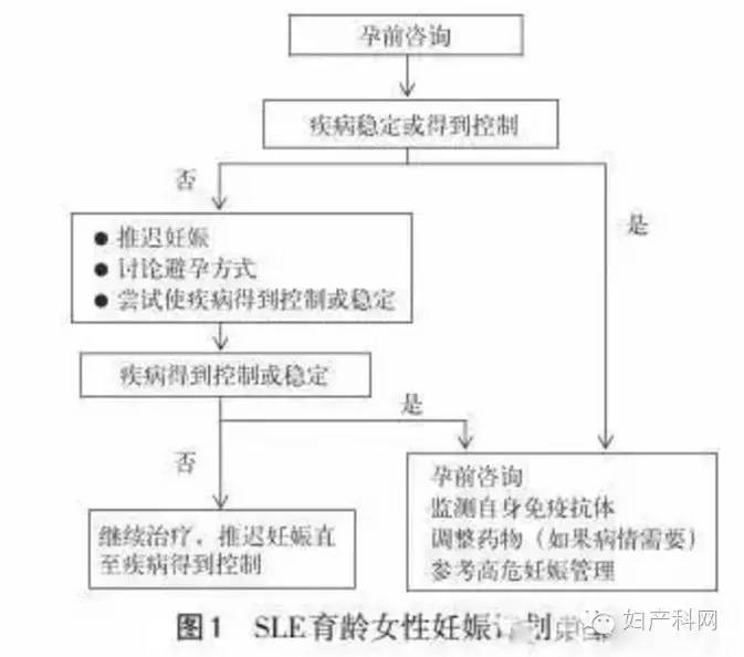 包青天书院诡事