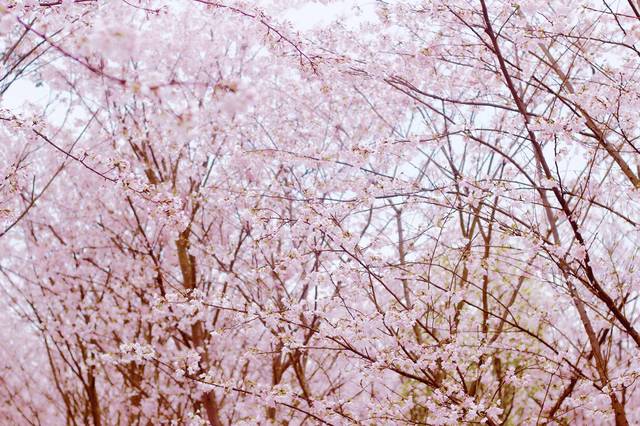 加布里埃尔与群山