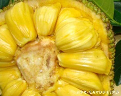 单身日记：好孕来袭