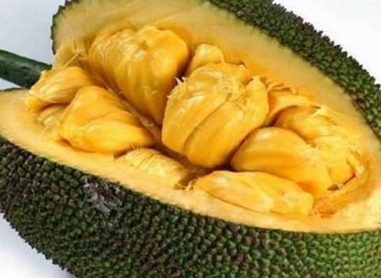 初缠恋后的2人世界